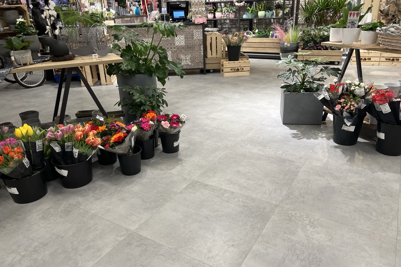 Blumen- und Gartenabteilung mit Boden in Betonoptik